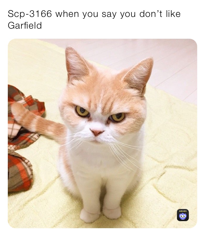 Scp-3166 when you say you don’t like Garfield 