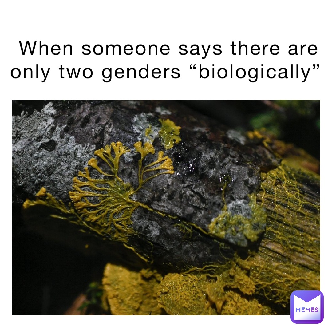 When someone says there are only two genders “biologically”
