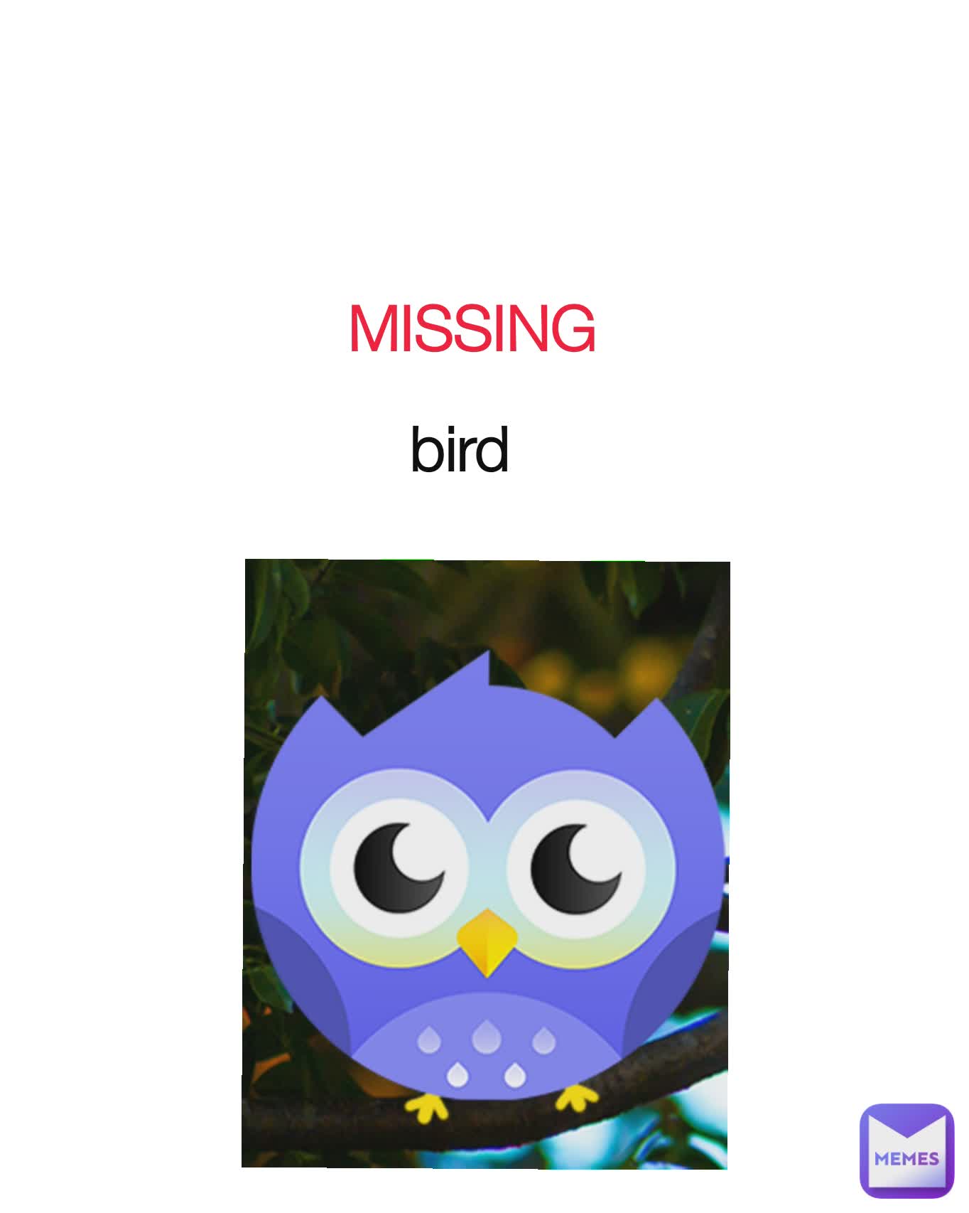 MISSING  bird 