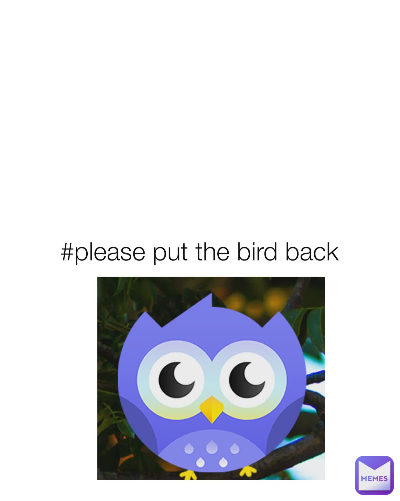 #please put the bird back