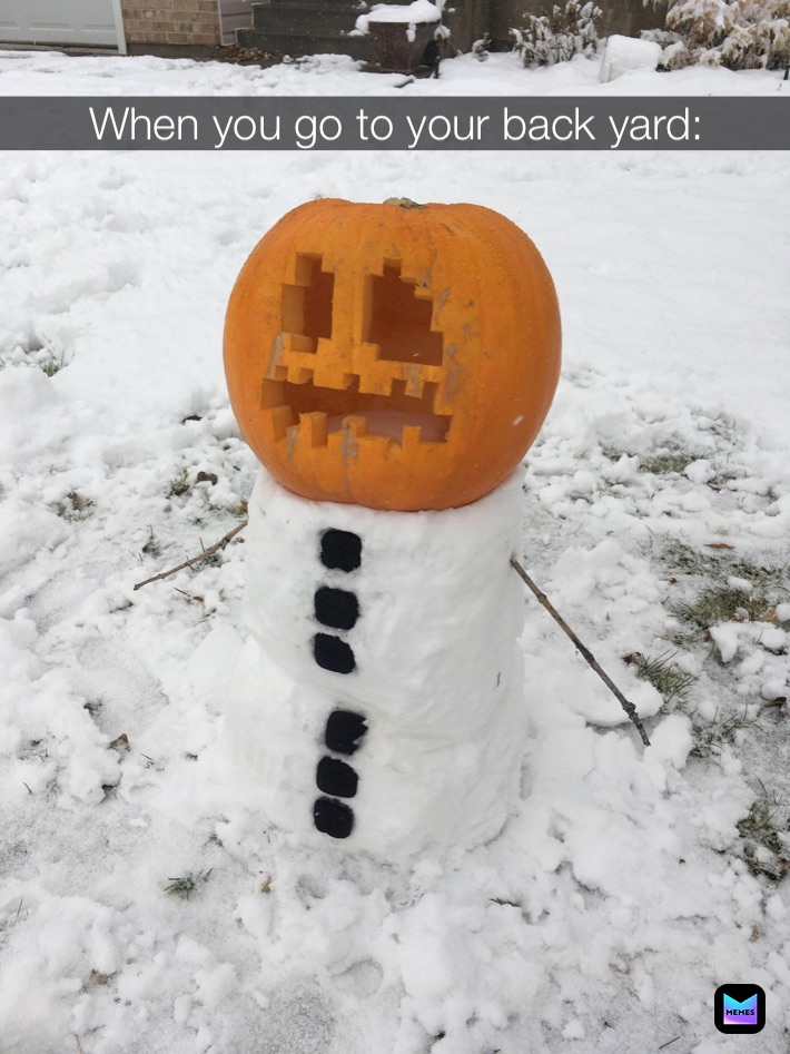 Meme by catandmooseyt