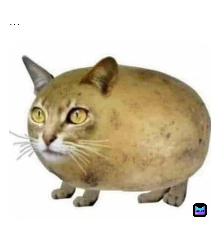 Meme by catandmooseyt