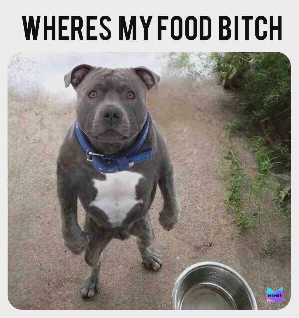 Meme shared by @zues849