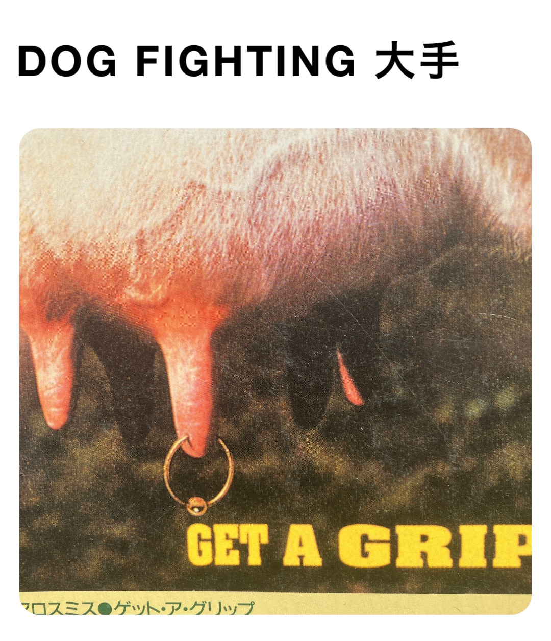 DOG FIGHTING 大手