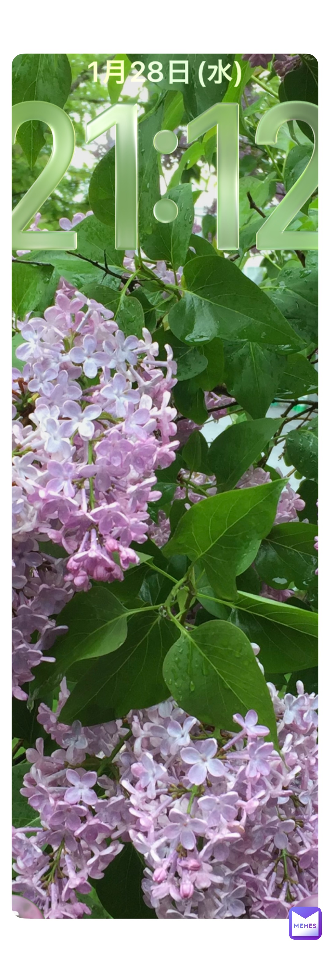 Meme by DIYKAZUSH_6669110