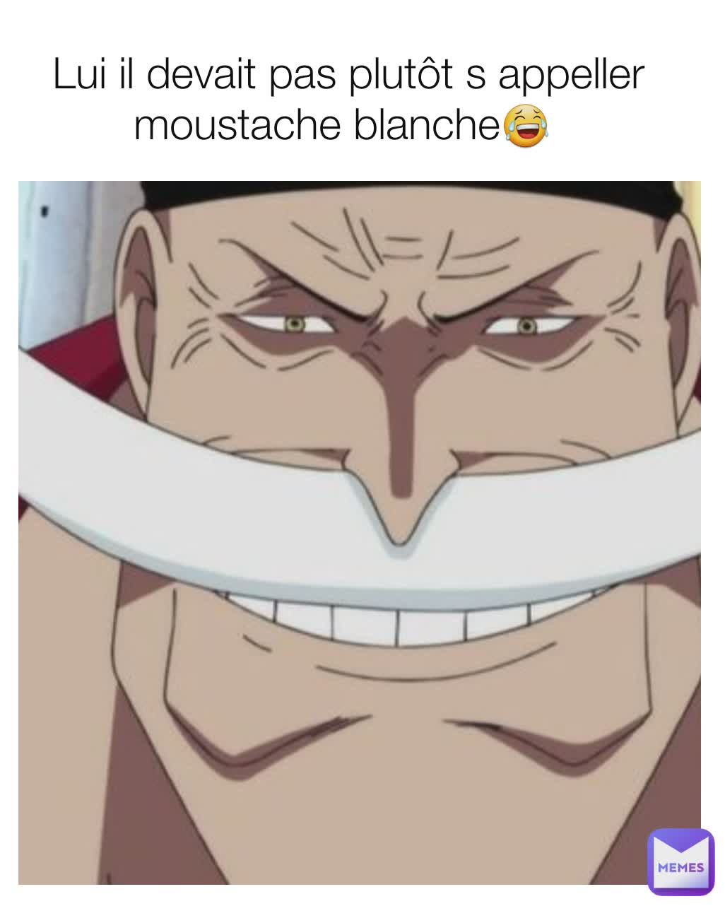 Lui il devait pas plutôt s appeller moustache blanche😂 