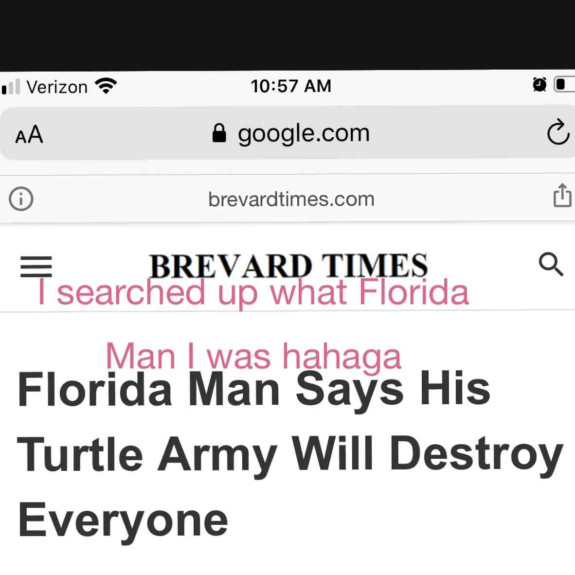 Haha I have a Turtle Army