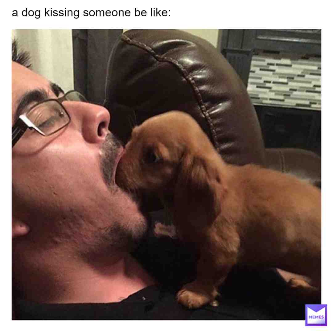oh heck no #naughtydog #naughty #naughtynaughty