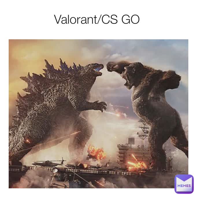 Valorant/CS GO