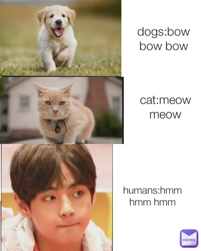 Meme by bts_blackpink_offical