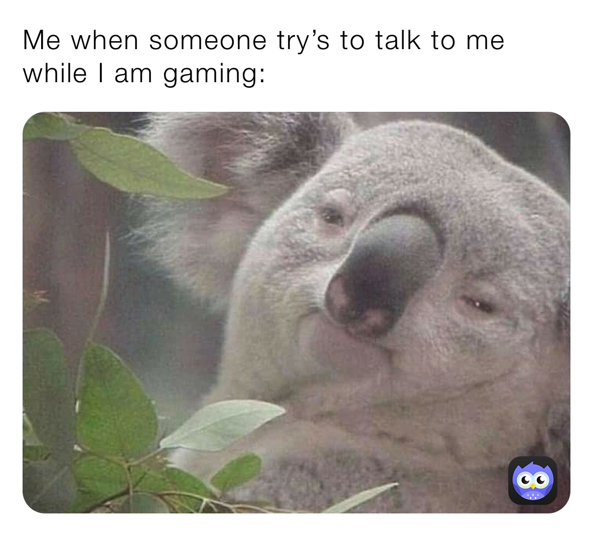 Me when someone try’s to talk to me while I am gaming: