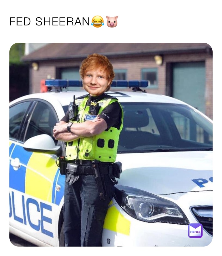 FED SHEERAN😂🐷 