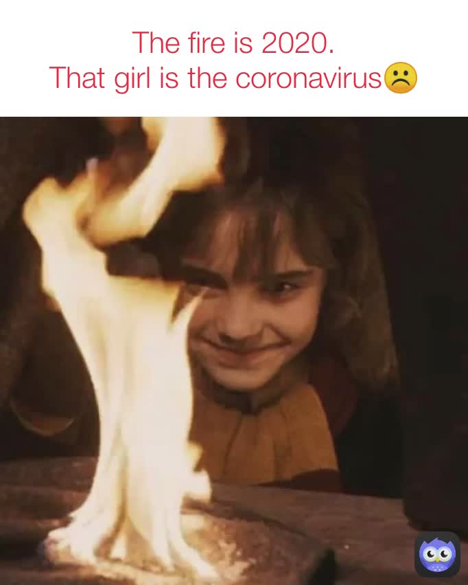 The fire is 2020.
That girl is the coronavirus☹️