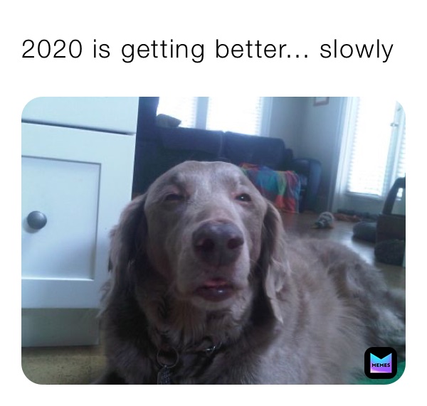 2020 is getting better... slowly 