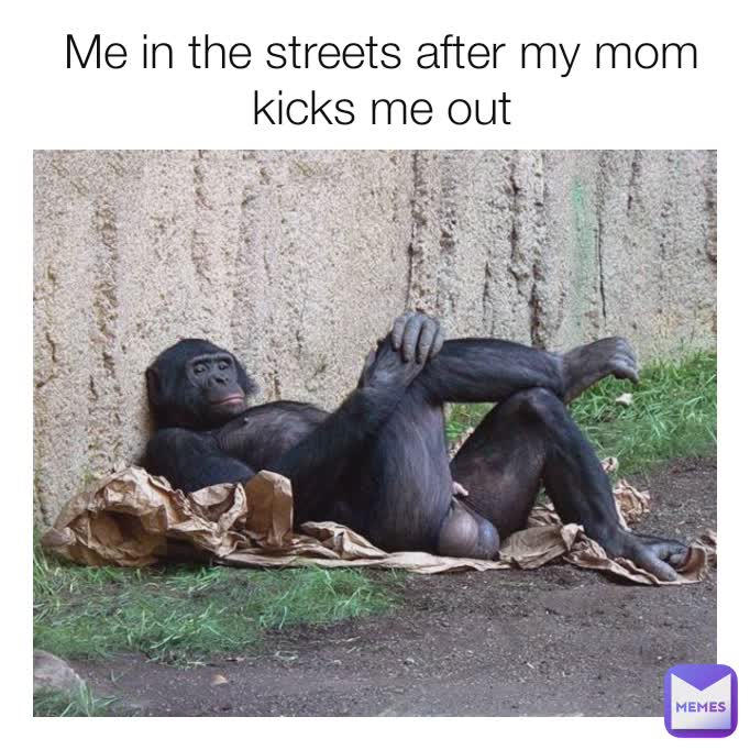 Me in the streets after my mom kicks me out Mrs.Berry Memes
