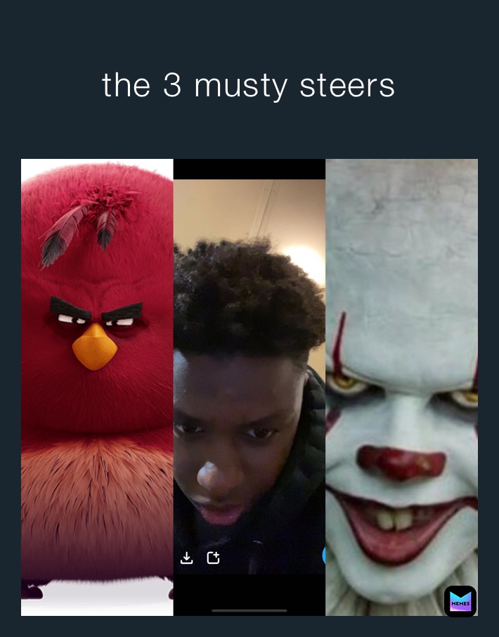 the 3 musty steers 