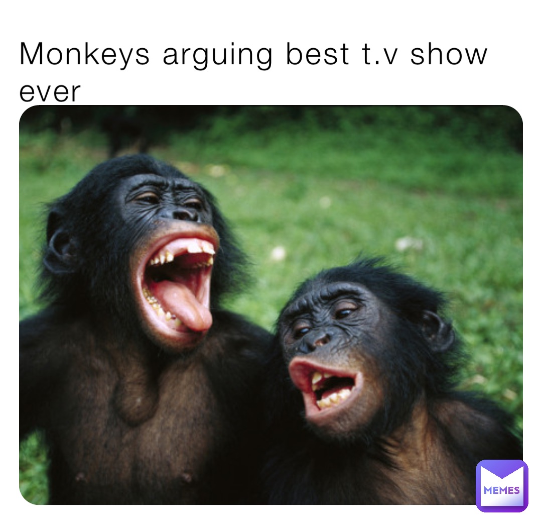 Monkeys arguing best t.v show ever