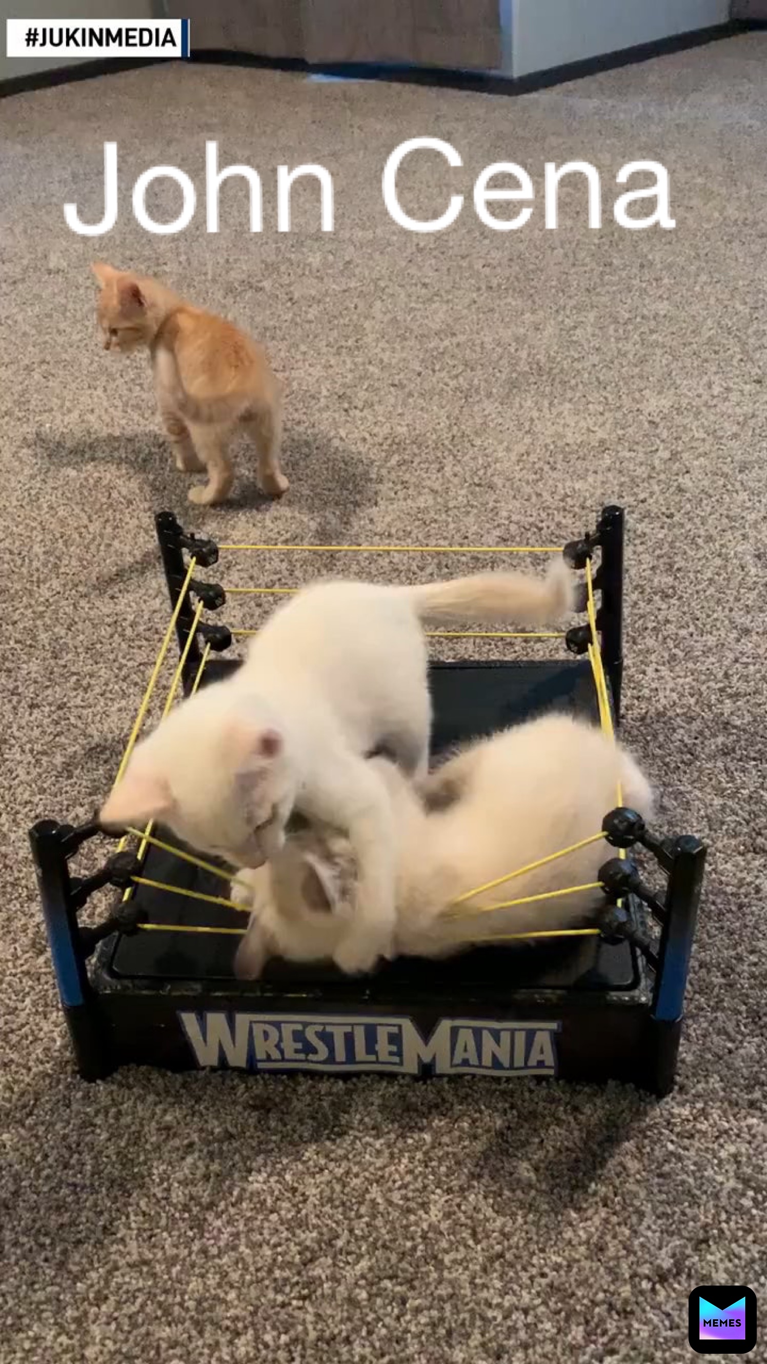 Meme by brawlstars_meme