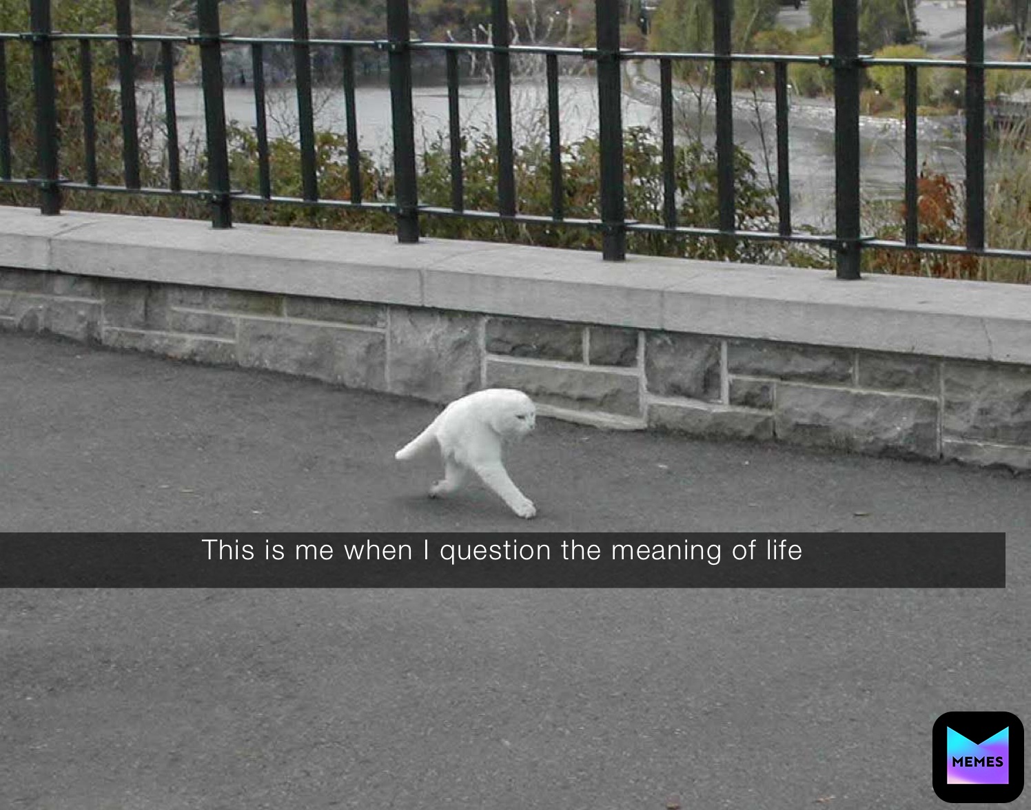 This is me when I question the meaning of life