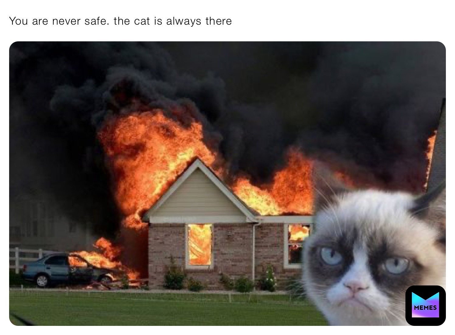 You are never safe. the cat is always there