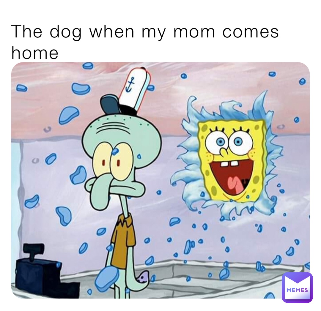 The dog when my mom comes home