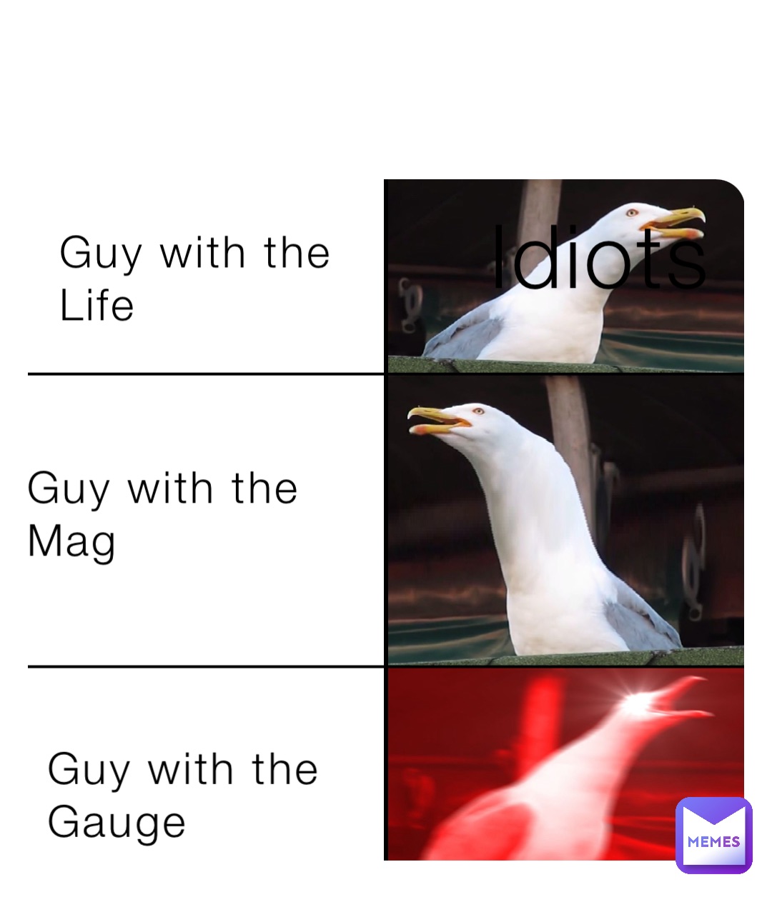 Guy with the 
Gauge Guy with the 
Mag Guy with the 
Life Idiots