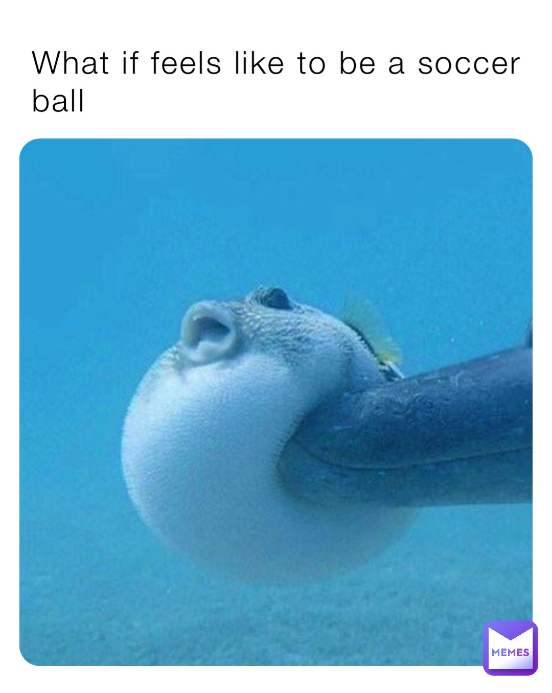 What if feels like to be a soccer ball