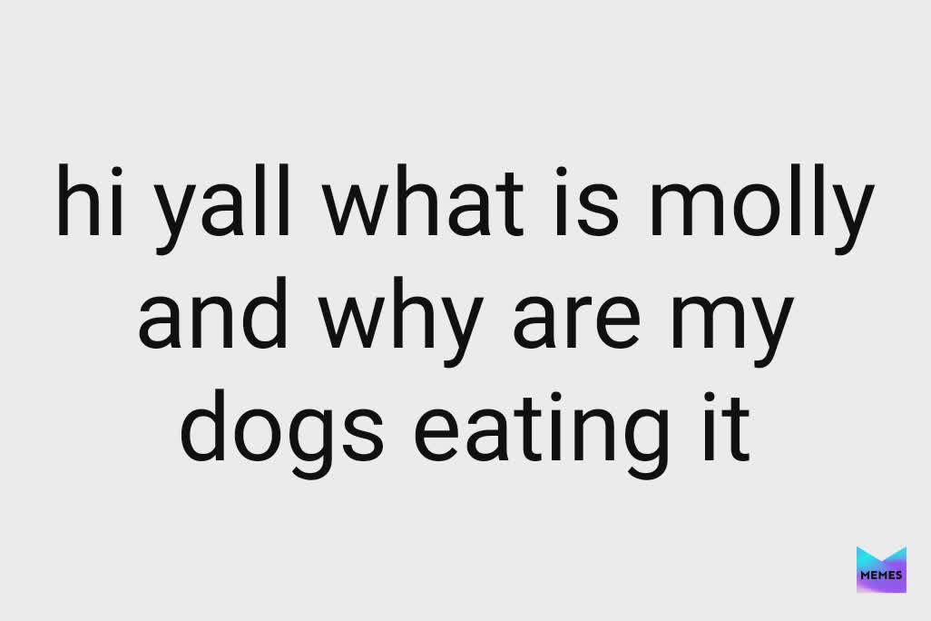 Meme by thehabibshow