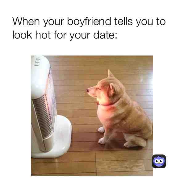 #dogheater