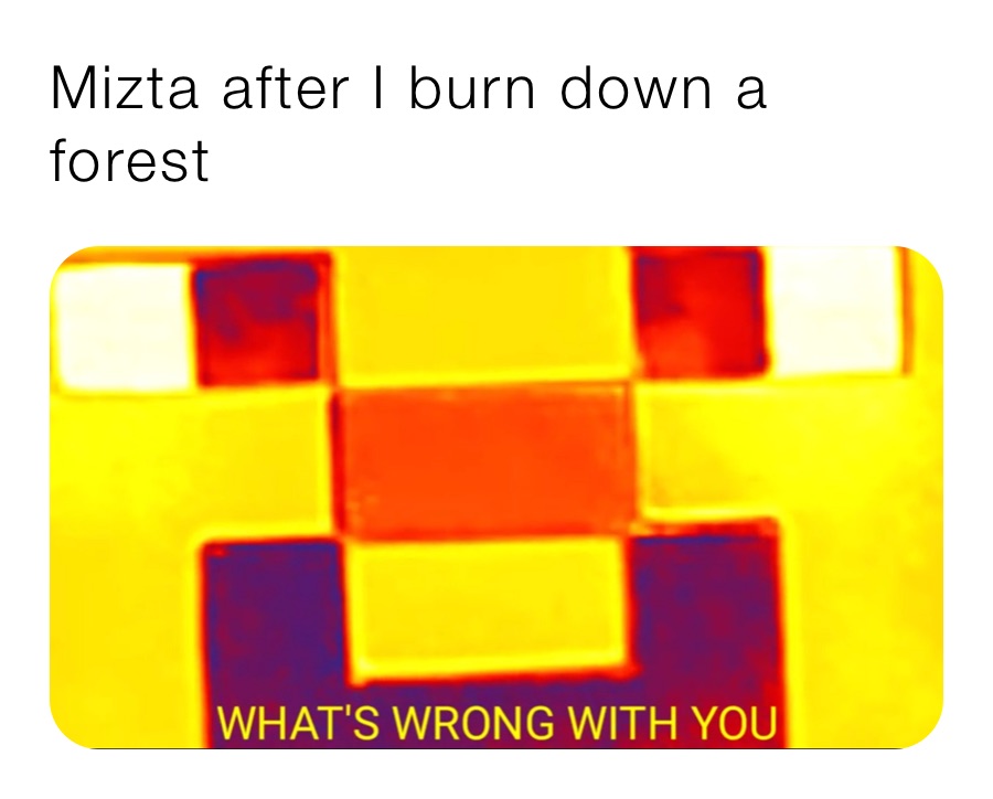 Mizta after I burn down a forest 