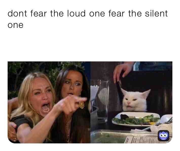 Karen vs cat