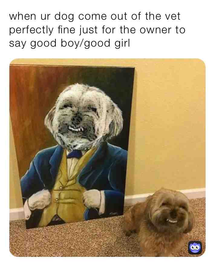 #vet