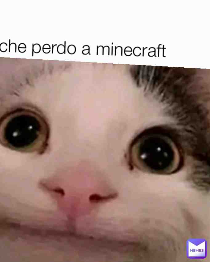 Io che uso minecraft sopravivenza