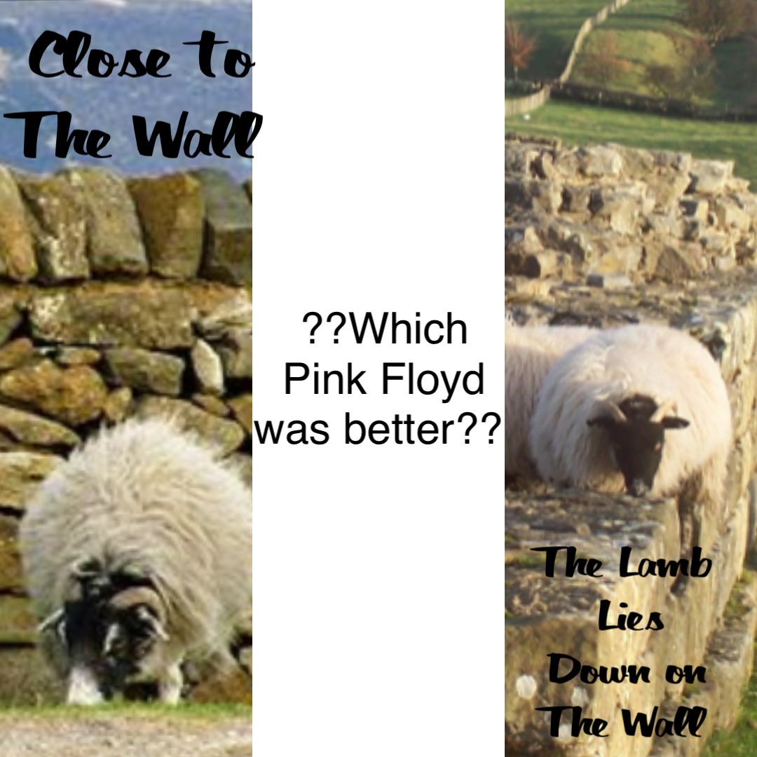 ??Which 
Pink Floyd 
was better?? Close to The Wall The Lamb 
Lies Down on 
The Wall