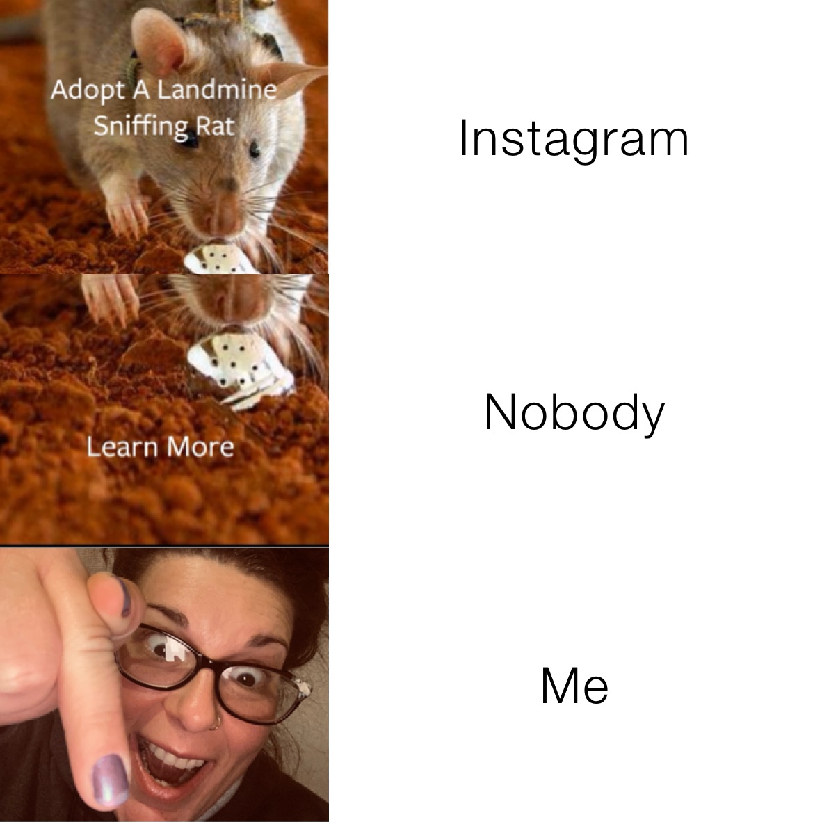 Instagram Nobody  Me