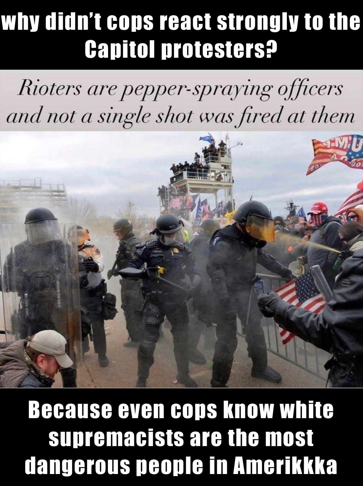 why didn’t cops react strongly to the Capitol protesters? Because even cops know white supremacists are the most dangerous people in Amerikkka