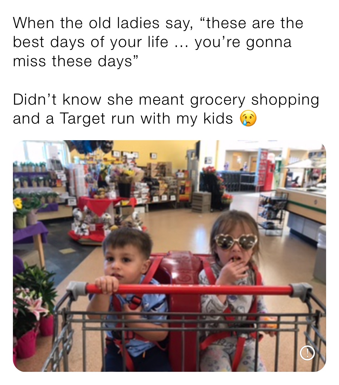 When the old ladies say, “these are the best days of your life ... you’re gonna miss these days” 

Didn’t know she meant grocery shopping and a Target run with my kids 😢