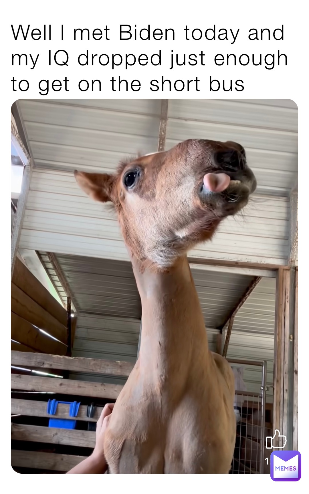 Well I met Biden today and my IQ dropped just enough to get on the short bus