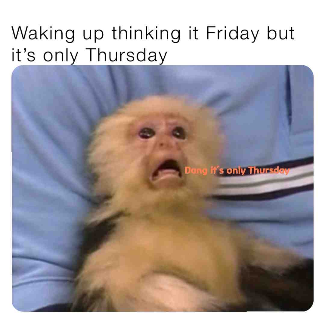 #memer #memestagram #memeschallenge #meme #memesdayz #week #friday #instagram
#friends #pet