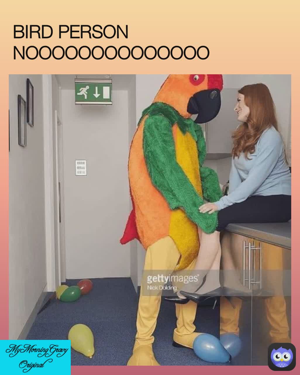  MyMorningGravy Original  BIRD PERSON NOOOOOOOOOOOOOO