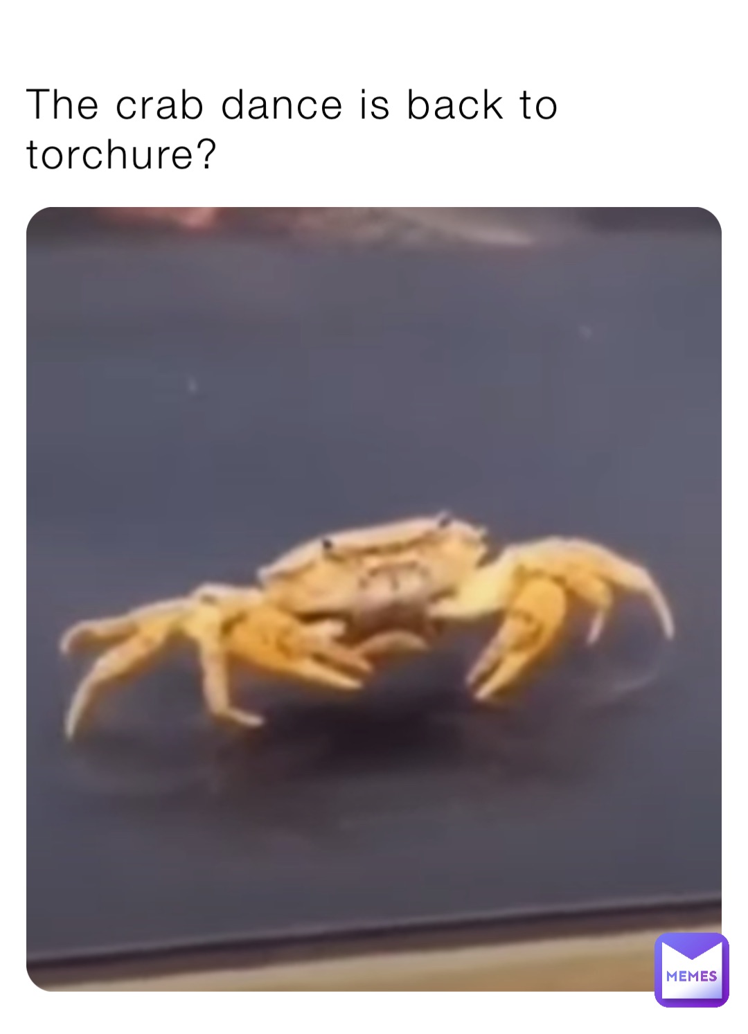 The crab dance is back to torchure?