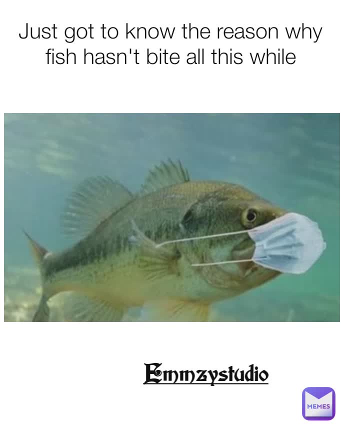 Just got to know the reason why fish hasn't bite all this while Emmzystudio