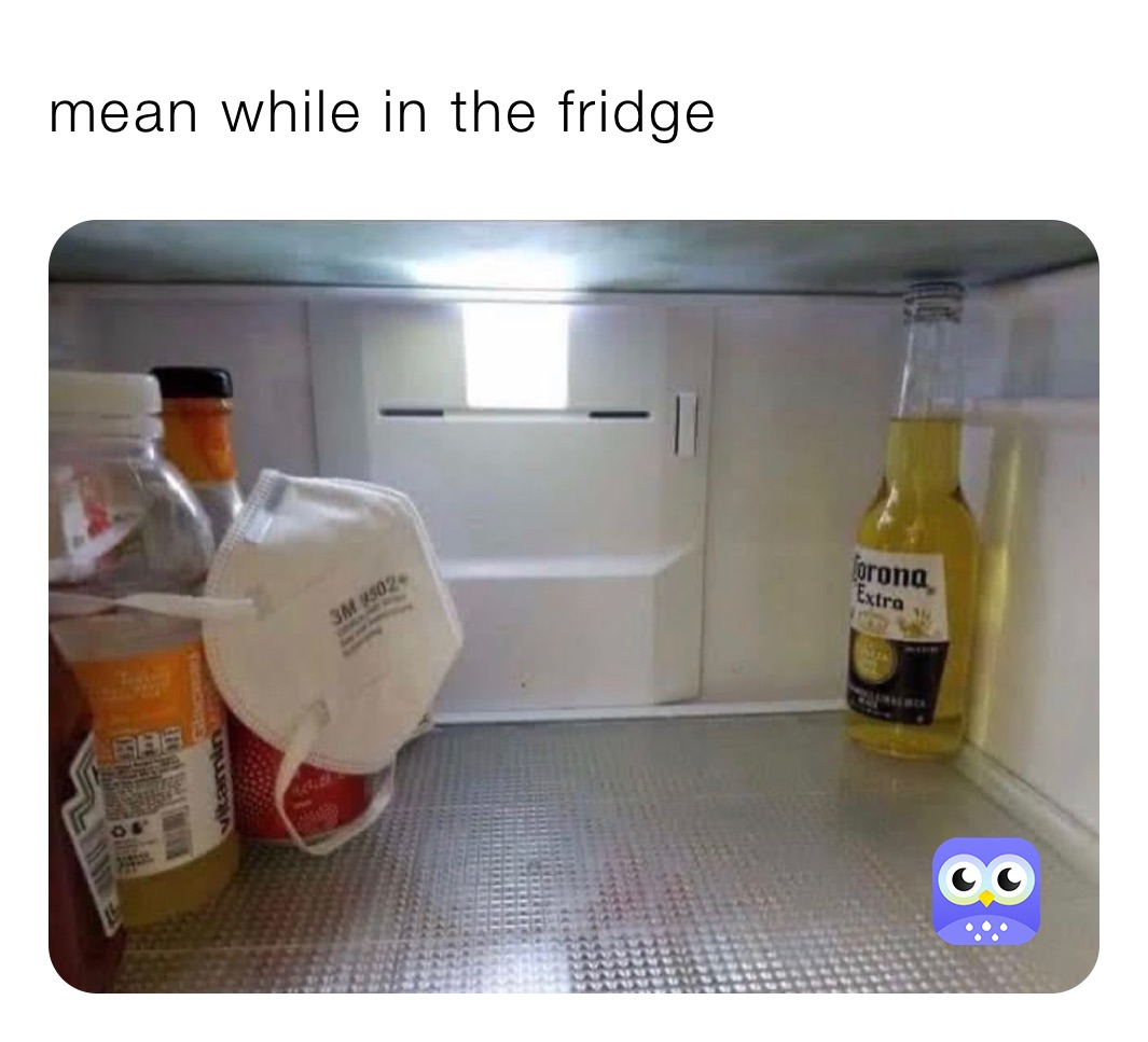 mean while in the fridge 