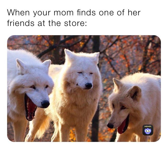 When your mom finds one of her friends at the store: