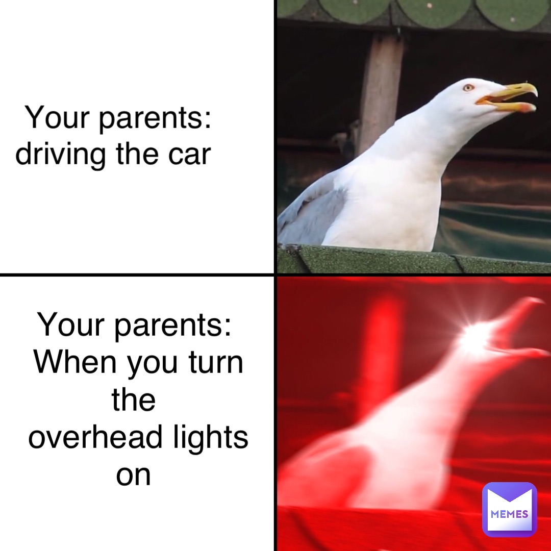 Your parents: 
driving the car Your parents:
When you turn the
overhead lights on