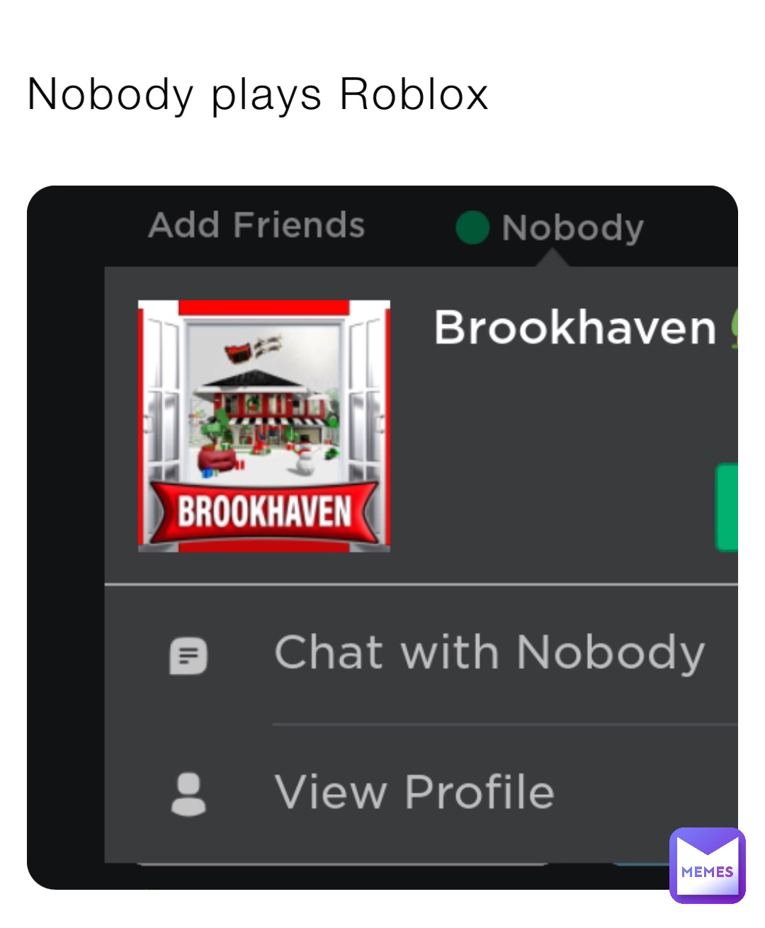 Nobody plays Roblox