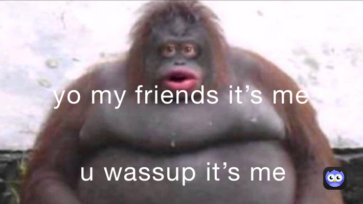 Meme by lewis.pucknell