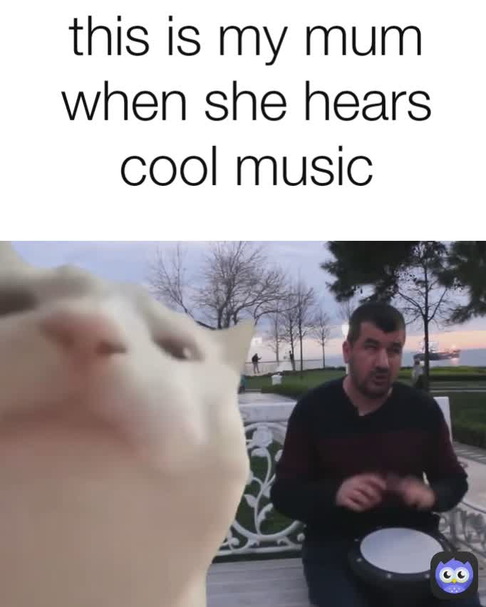 this is my mum when she hears cool music