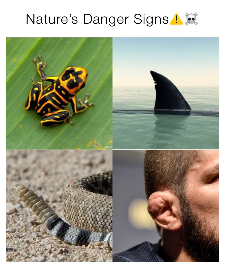 Meme by bryanjosesimosa