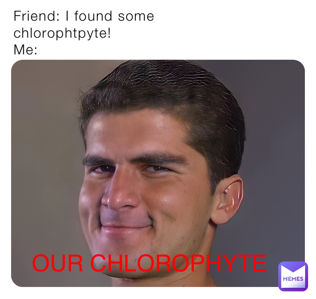 Friend: I found some chlorophtpyte!
Me: OUR CHLOROPHYTE